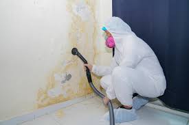 Best Mold Removal for HVAC Installations  in Temple Hills, MD